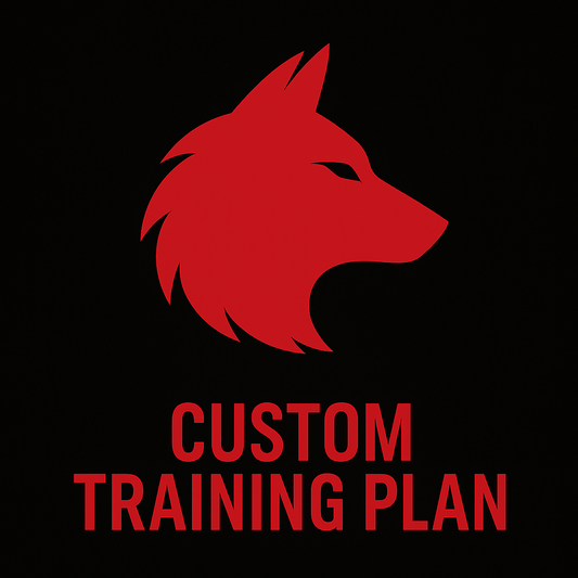 Custom Training Blueprint